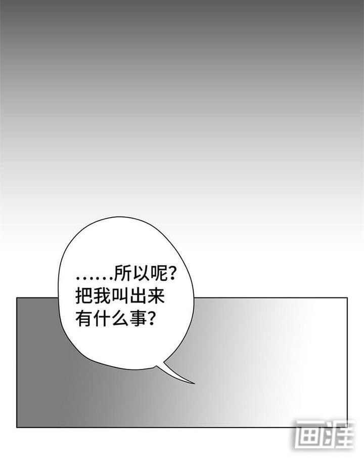 第13章：