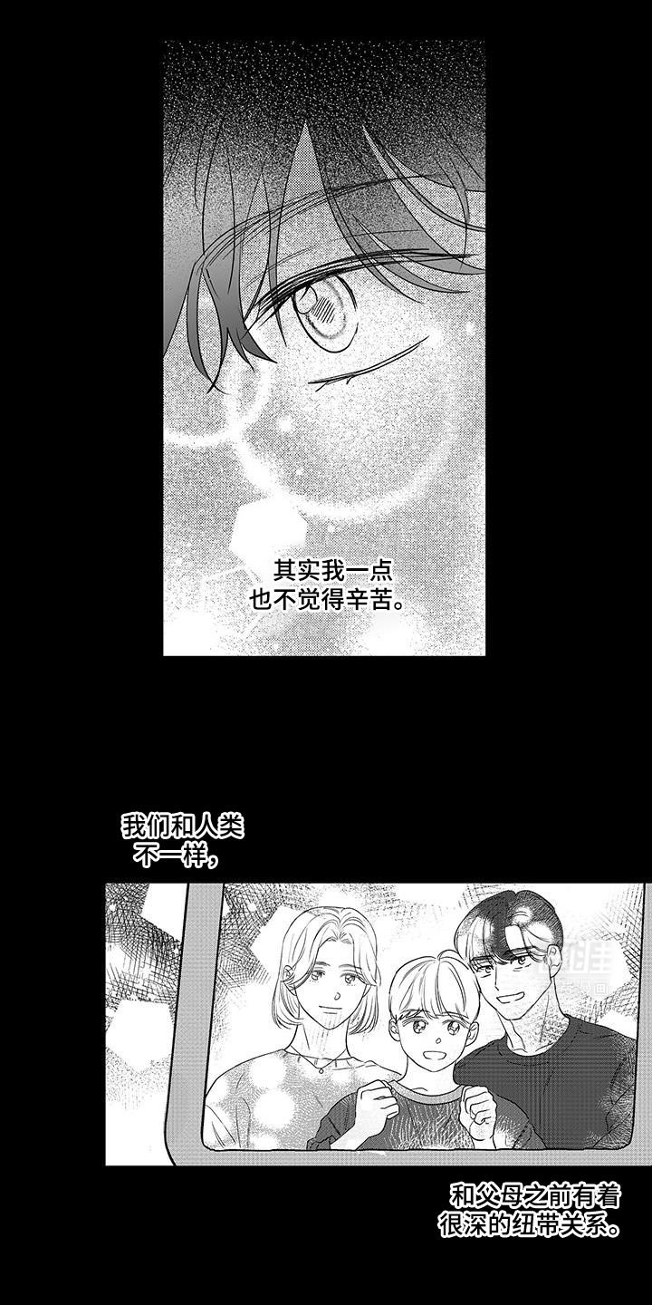 第14章：彩虹