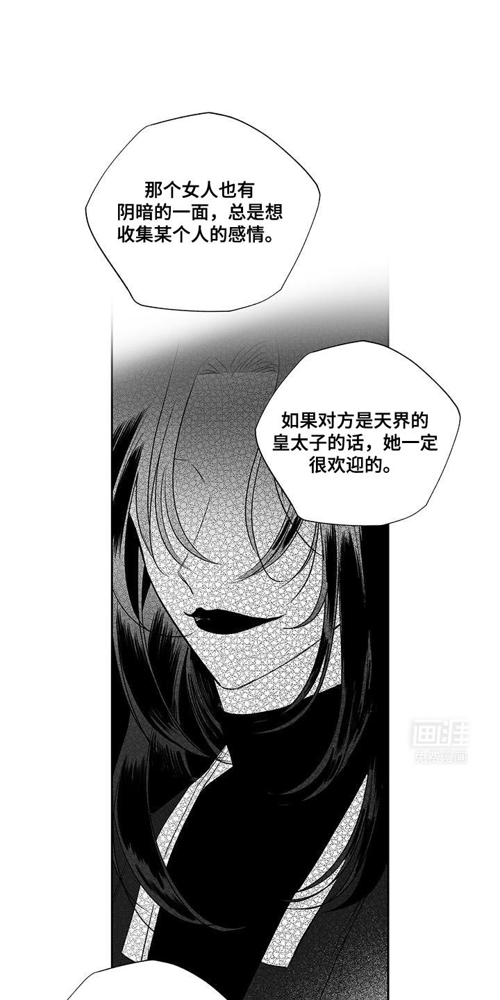 第16章：条件