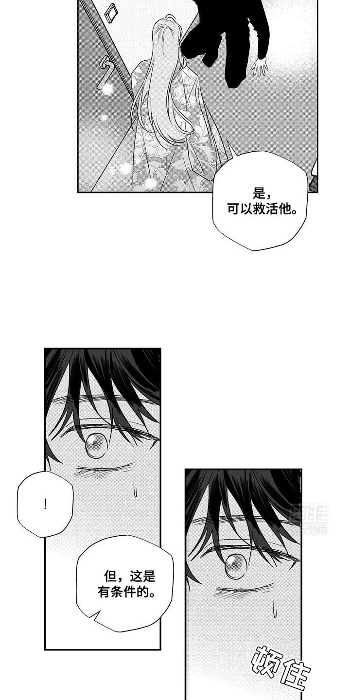 第16章：条件