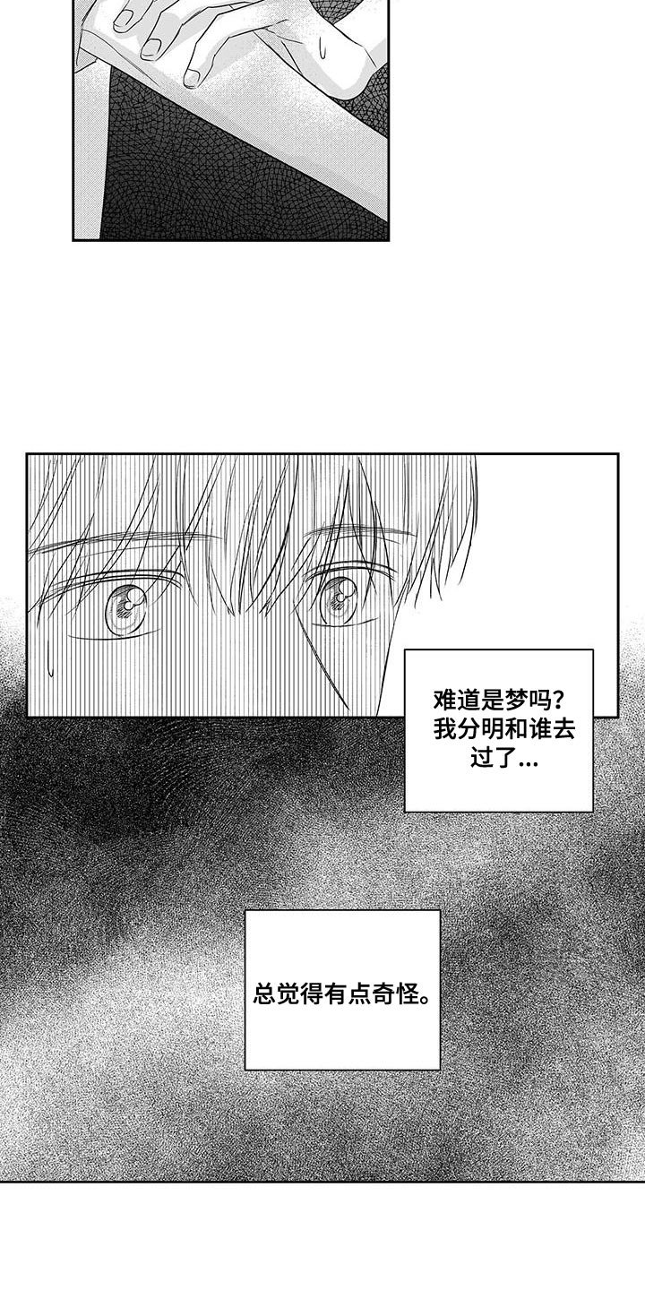 第20章：了如指掌