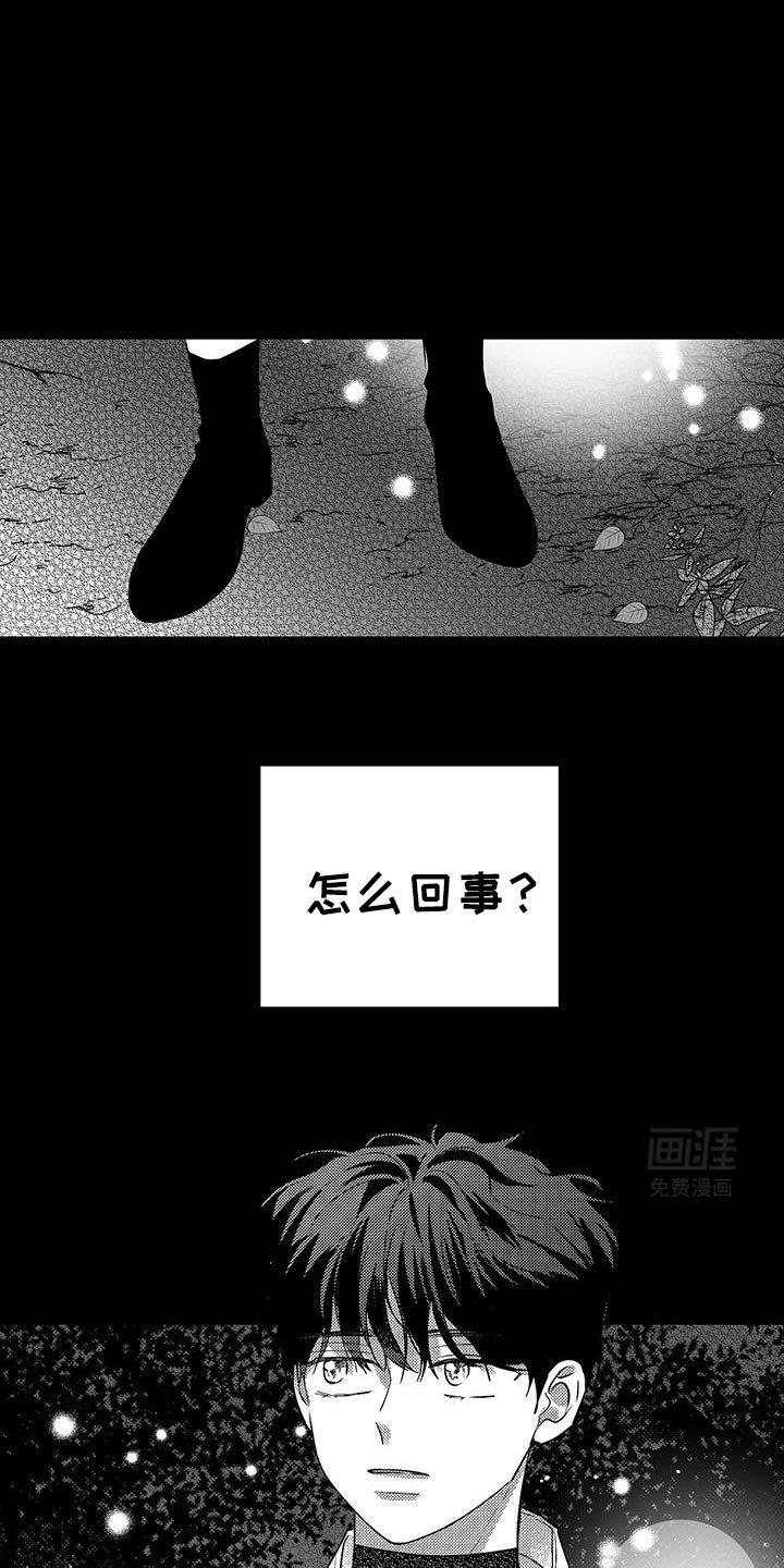第29章：遇见他的那一天
