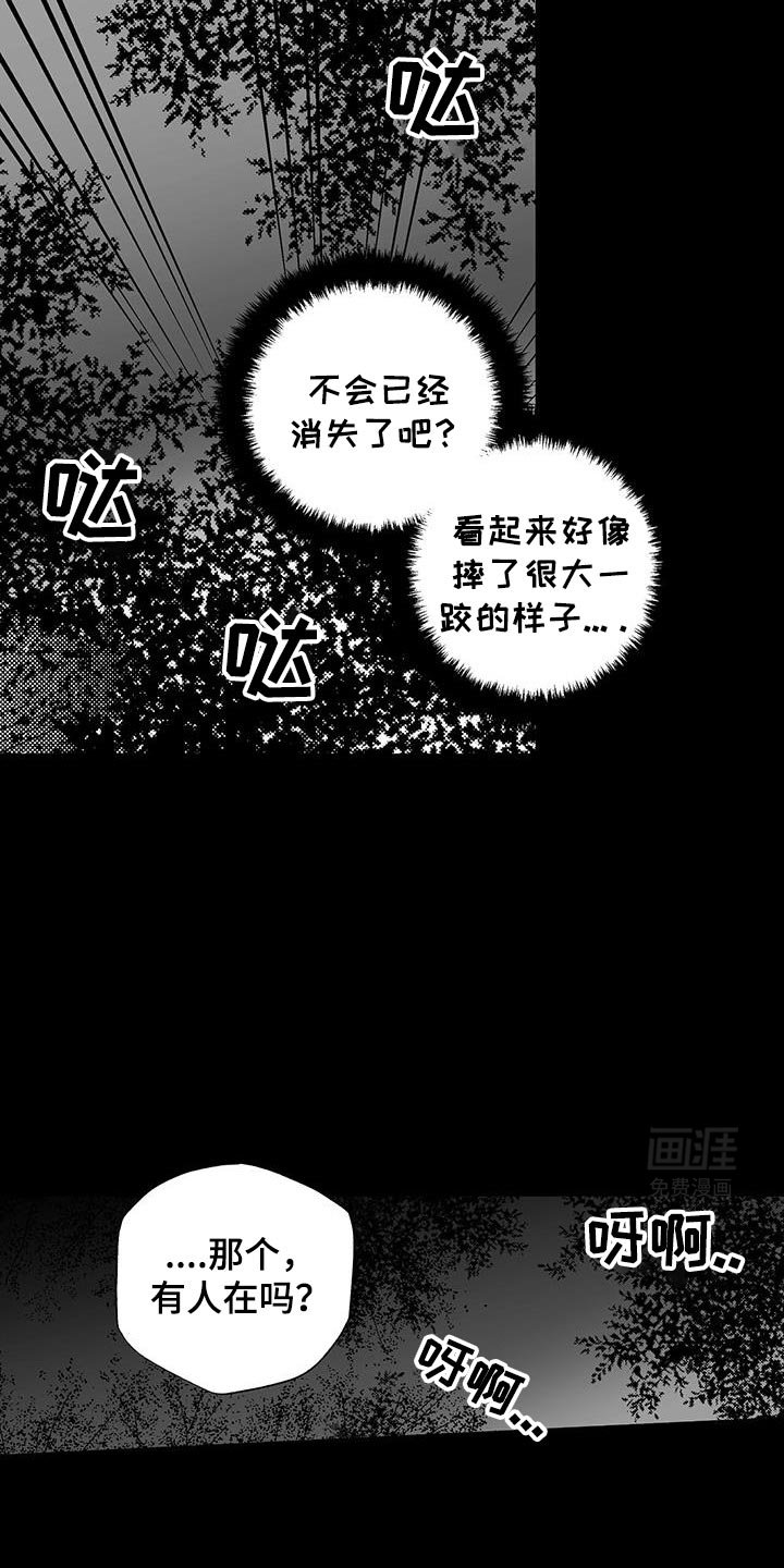 第29章：遇见他的那一天