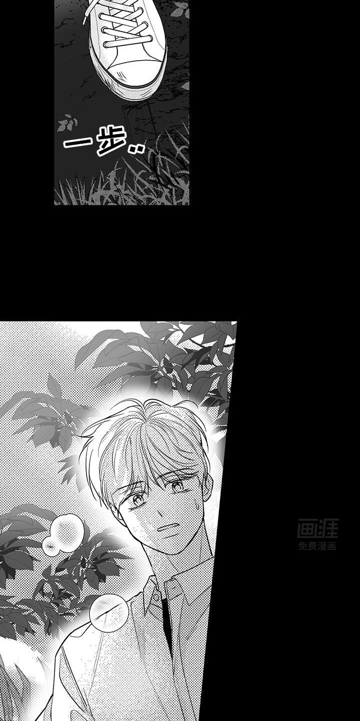 第29章：遇见他的那一天