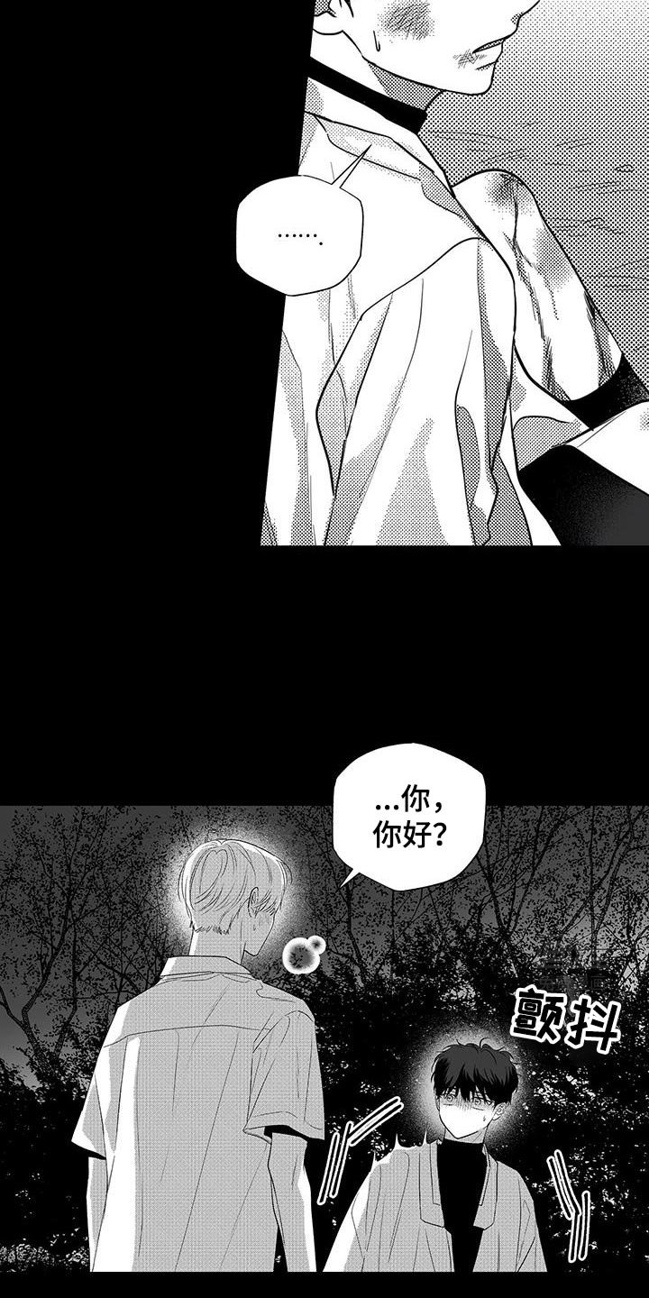 第29章：遇见他的那一天