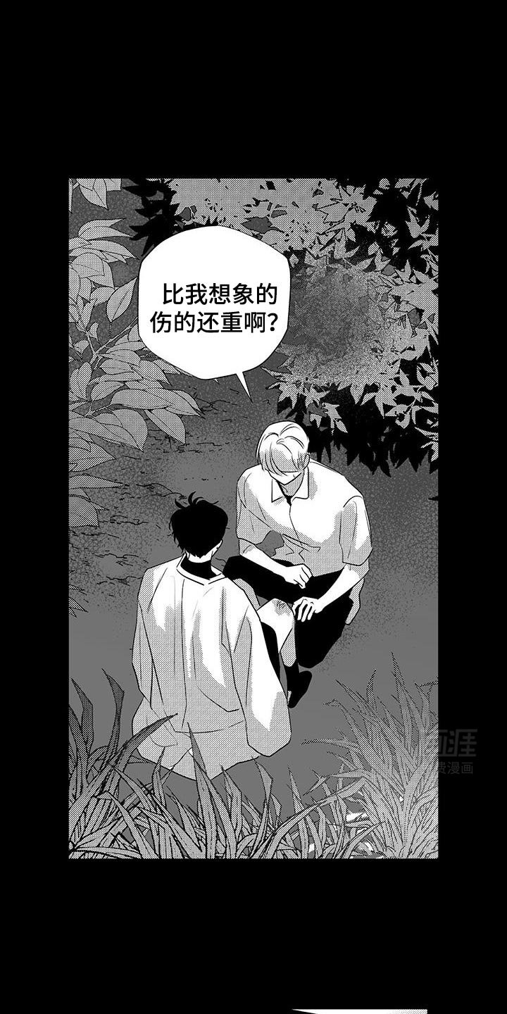 第29章：遇见他的那一天