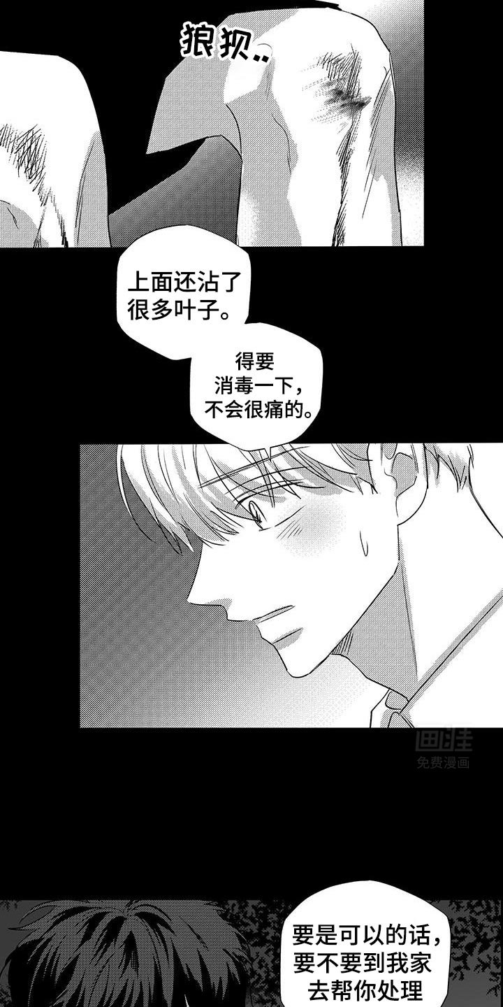第29章：遇见他的那一天