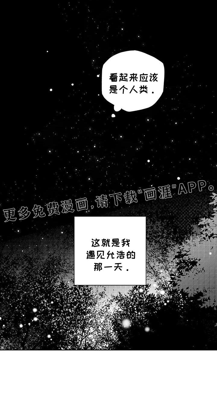第29章：遇见他的那一天