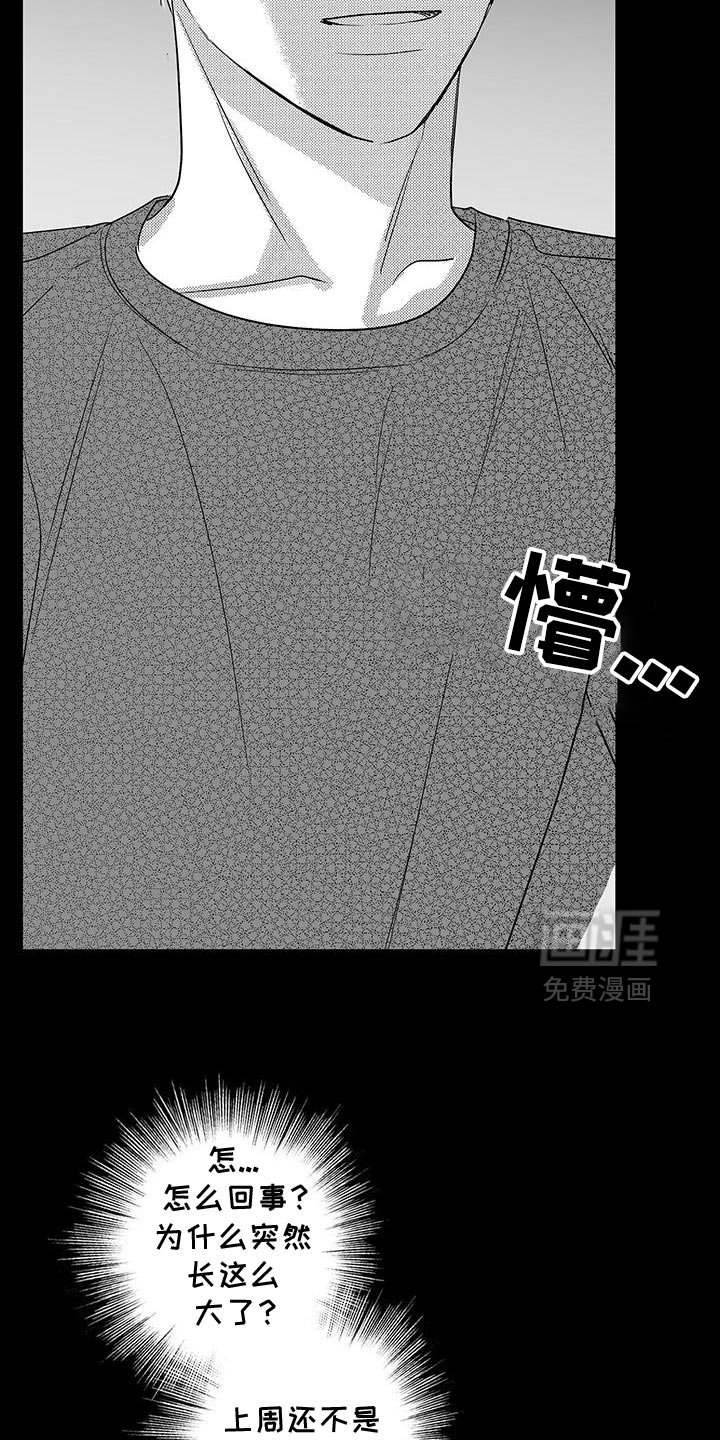 第32章：真的长大了