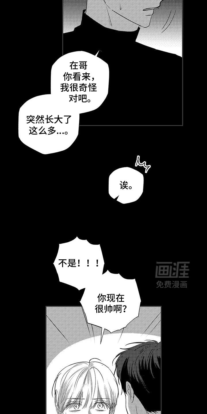 第32章：真的长大了