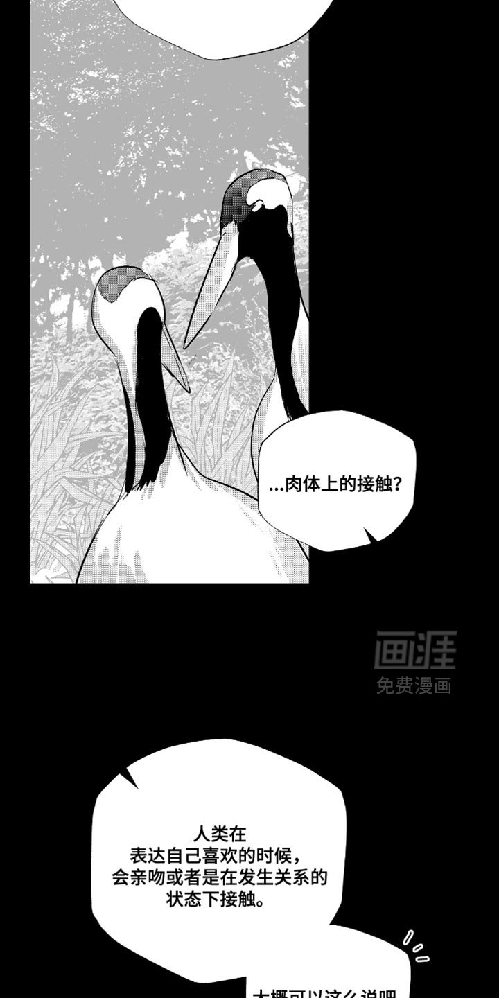 第38章：贪心