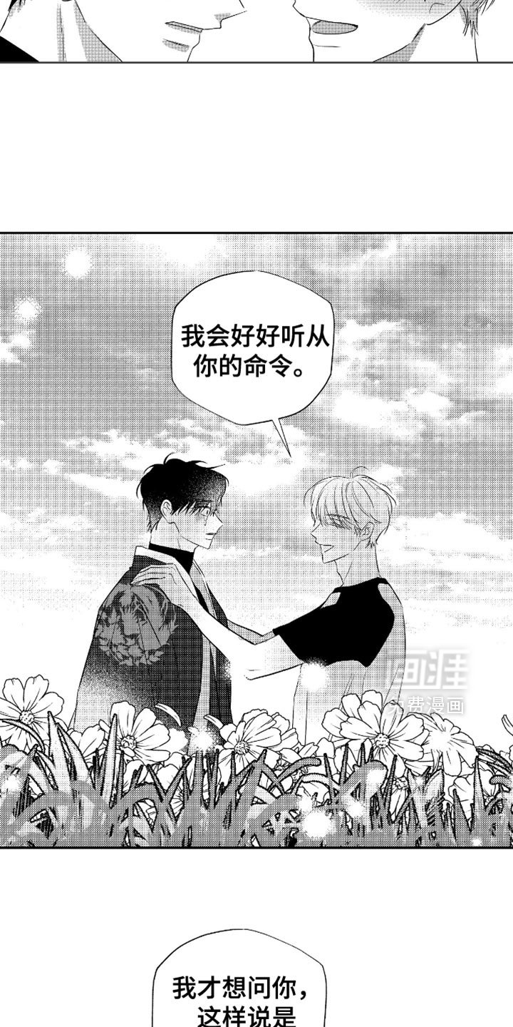 第42章：彩虹