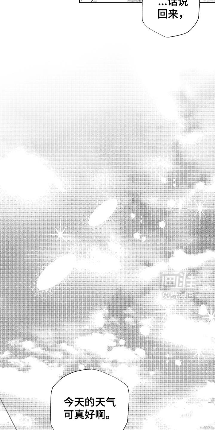 第43章：天气可真好啊（完结）