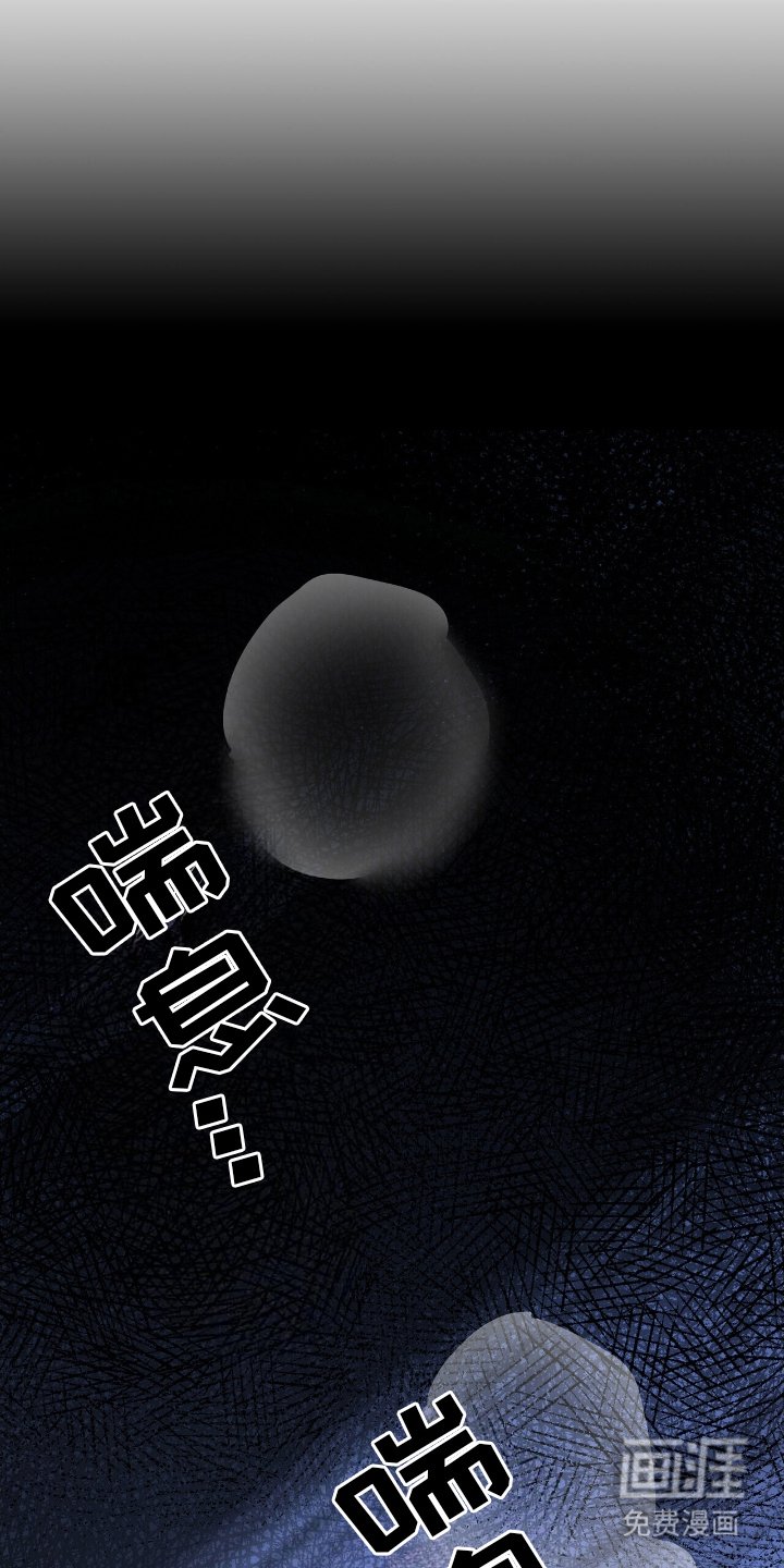 第11章：贪心