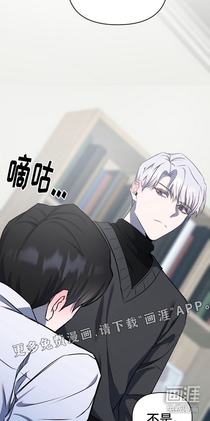 第12章：选择