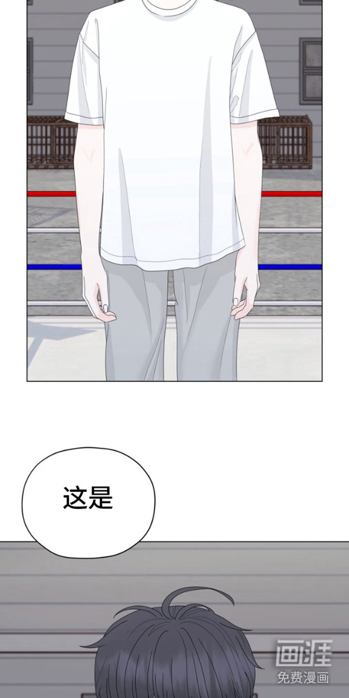 第15章：拳击场