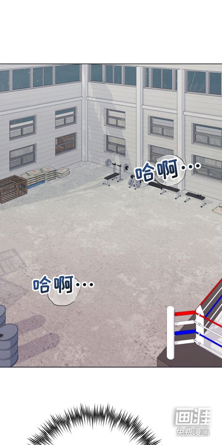 第16章：无法撼动
