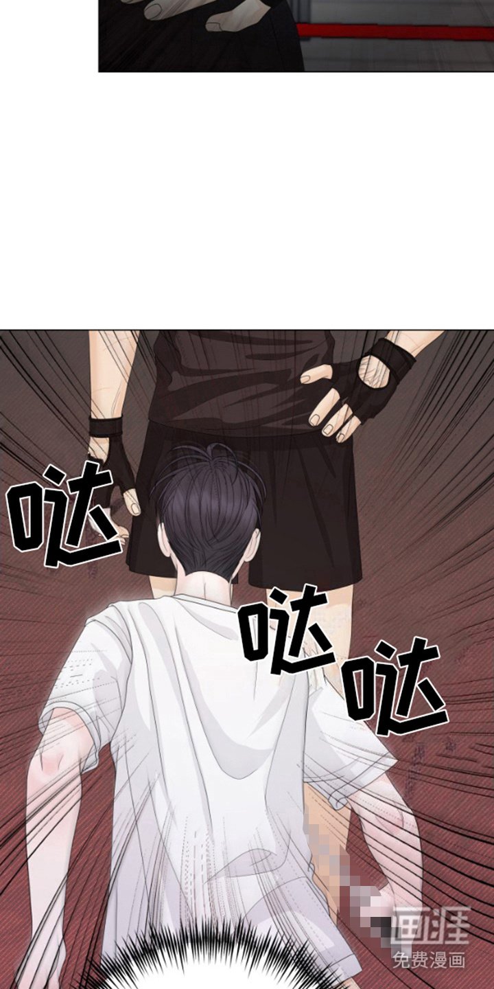第16章：无法撼动