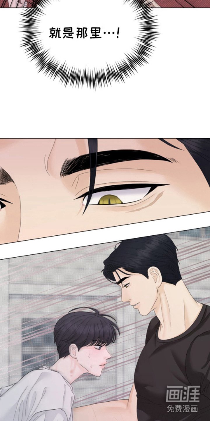 第16章：无法撼动