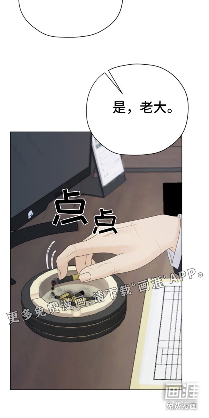 第18章：调查
