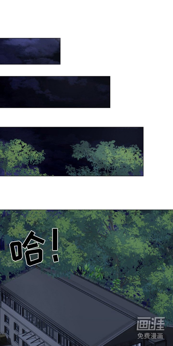第20章：挑衅