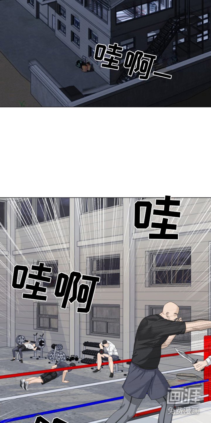 第20章：挑衅