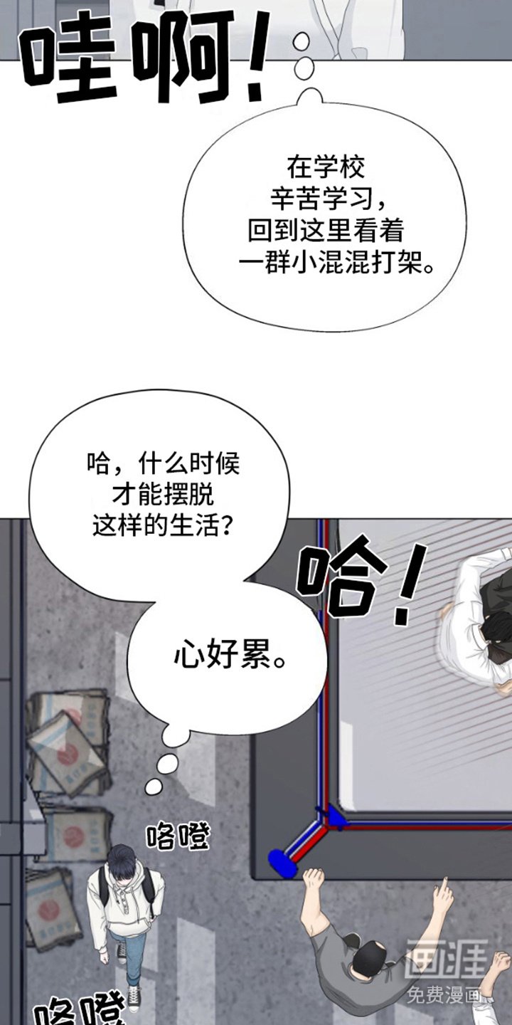 第20章：挑衅