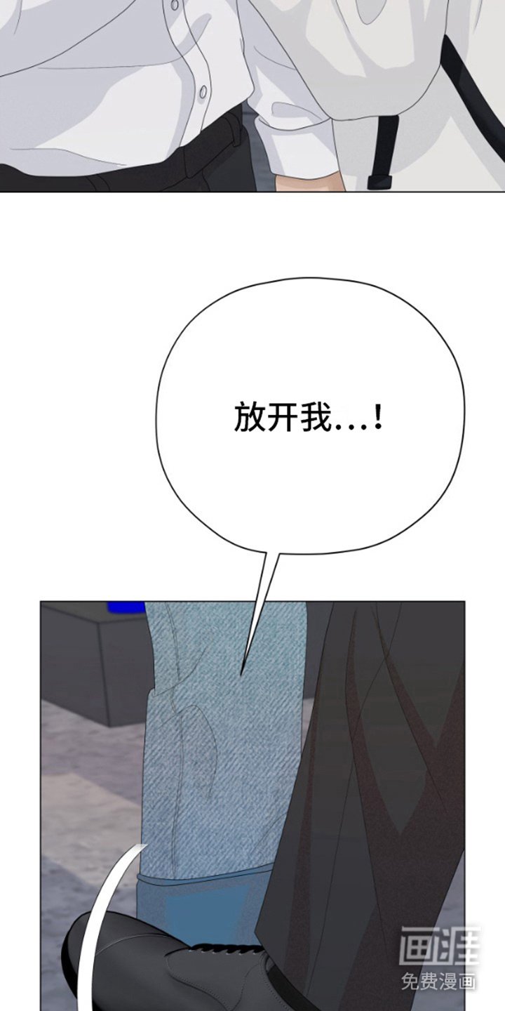 第20章：挑衅