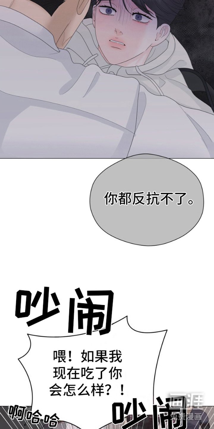 第20章：挑衅