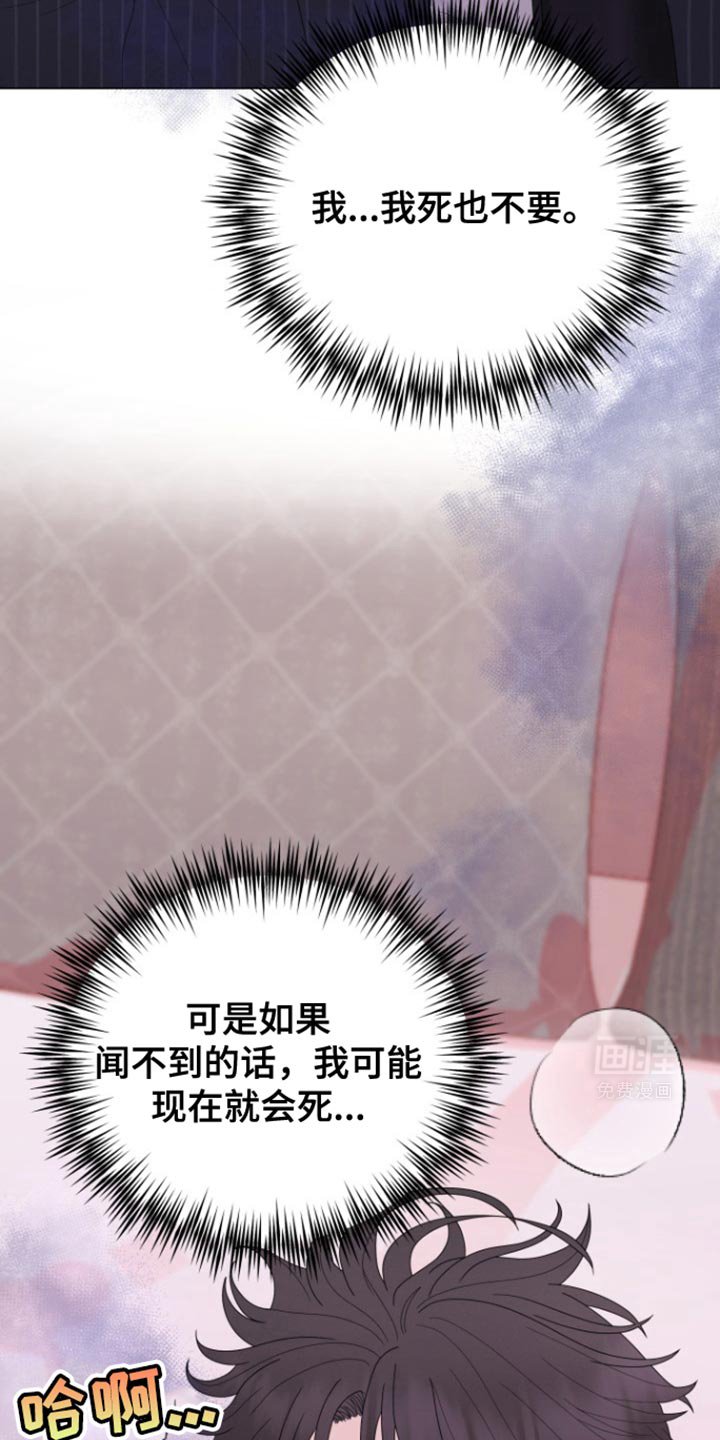 第26章：好不容易鼓起勇气