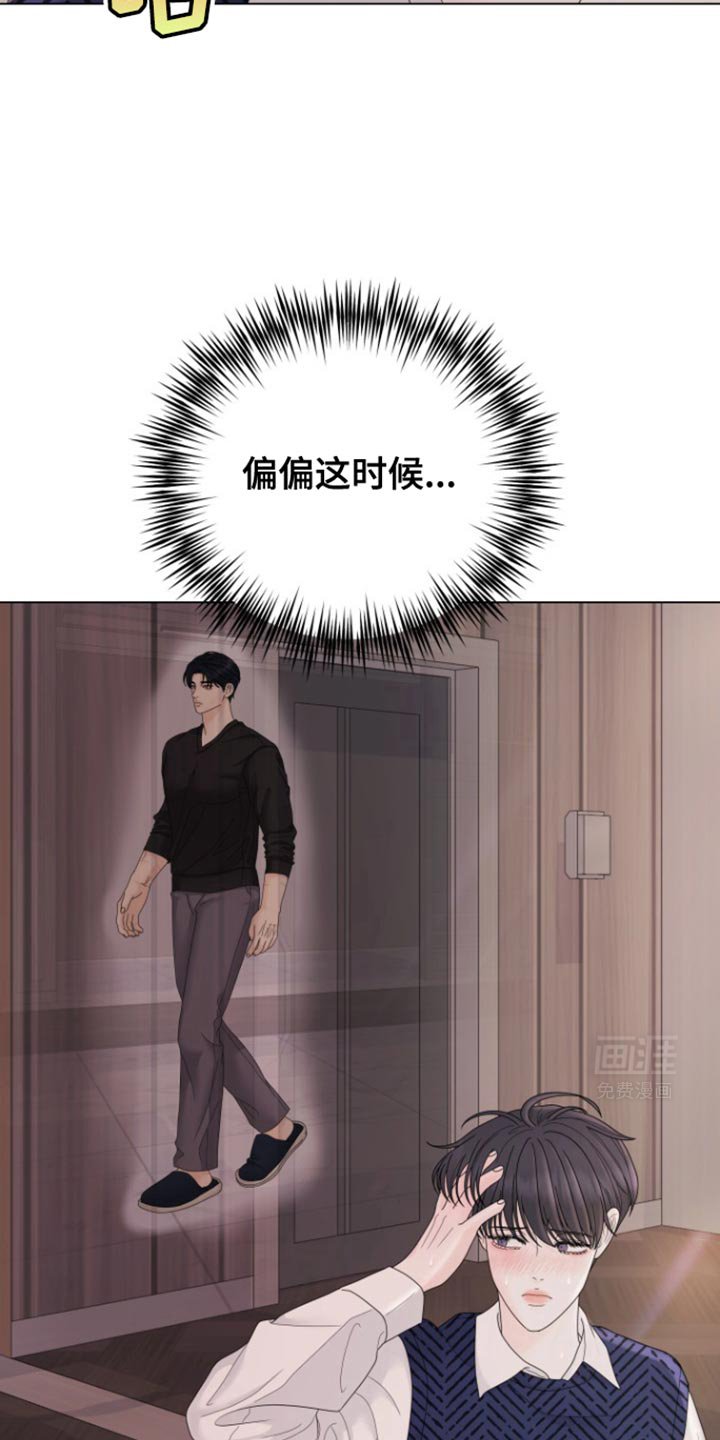 第37章：明天回来