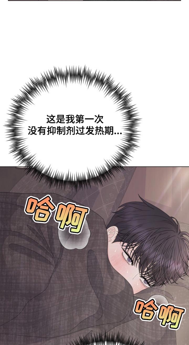 第37章：明天回来