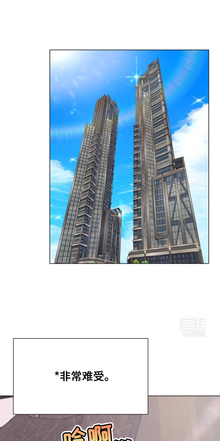 第37章：明天回来