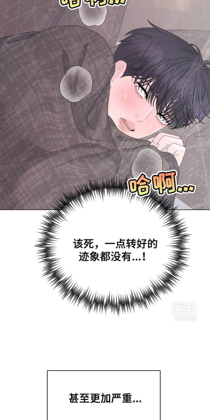 第37章：明天回来