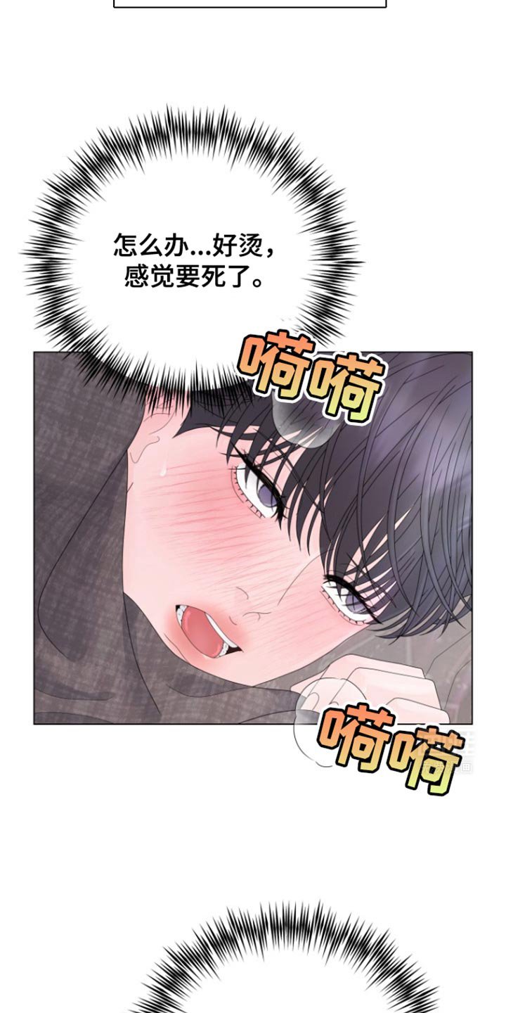 第37章：明天回来