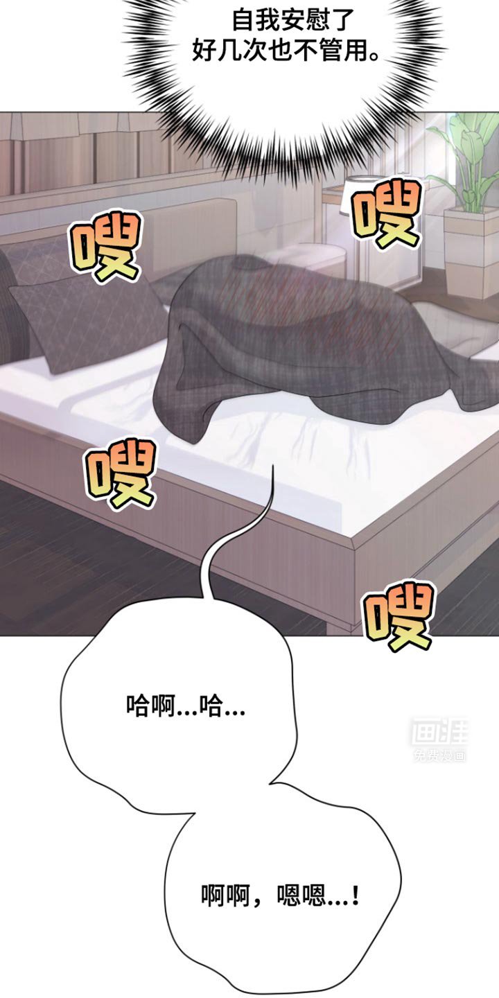 第37章：明天回来