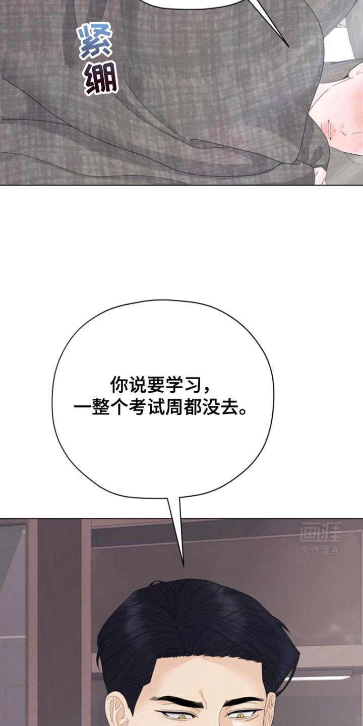 第37章：明天回来