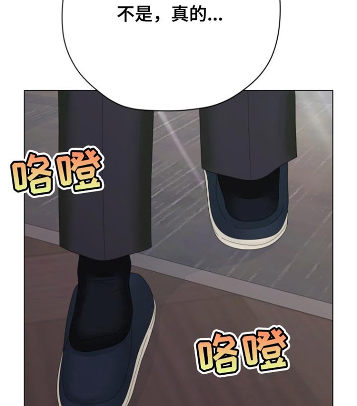 第37章：明天回来