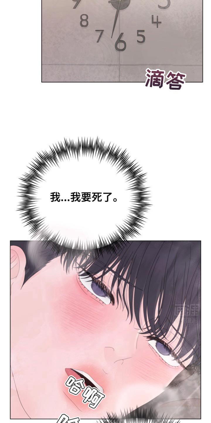 第37章：明天回来