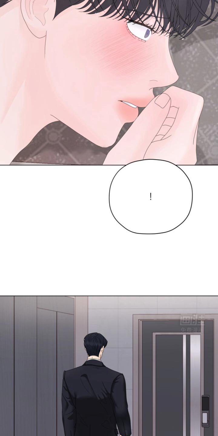 第37章：明天回来