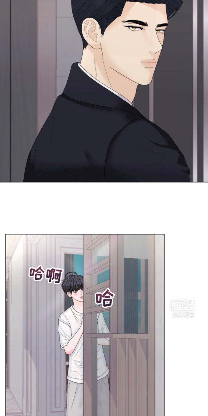 第37章：明天回来