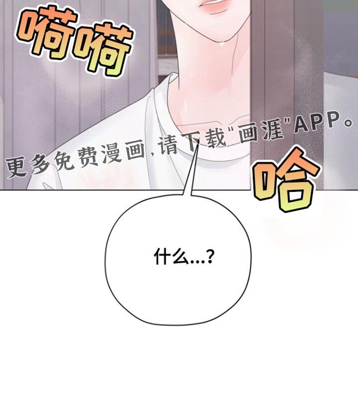 第37章：明天回来