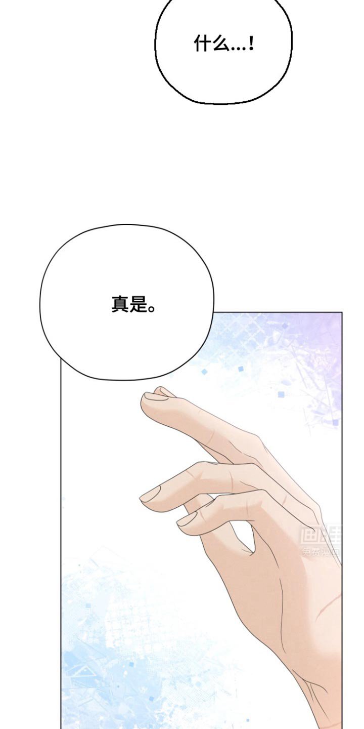 第39章：你终于对我好奇