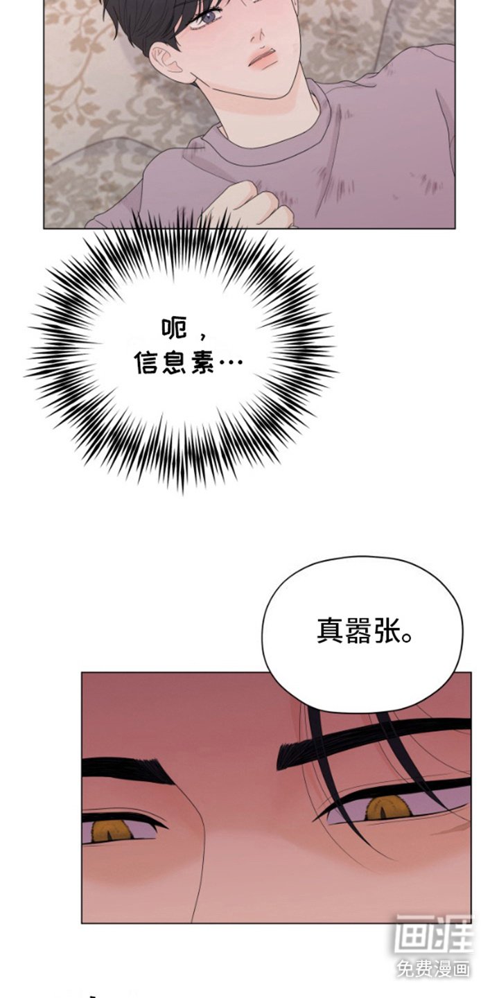 第6章：不包括我