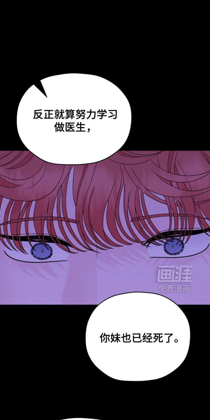 第62章：【第二季】我的书都不见了
