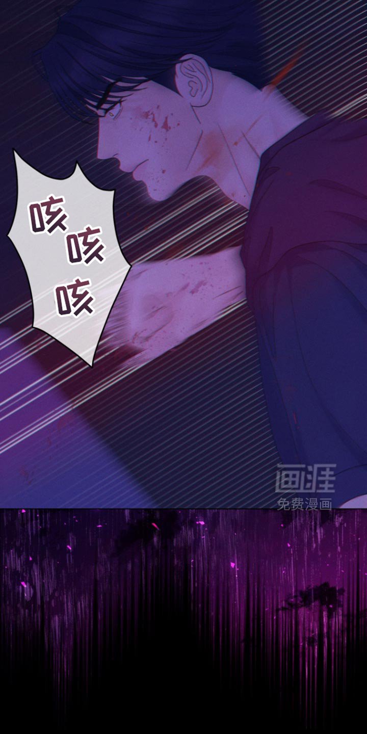 第62章：【第二季】我的书都不见了