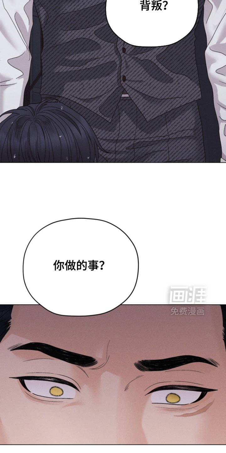 第71章：【第二季】大呼小叫的原因