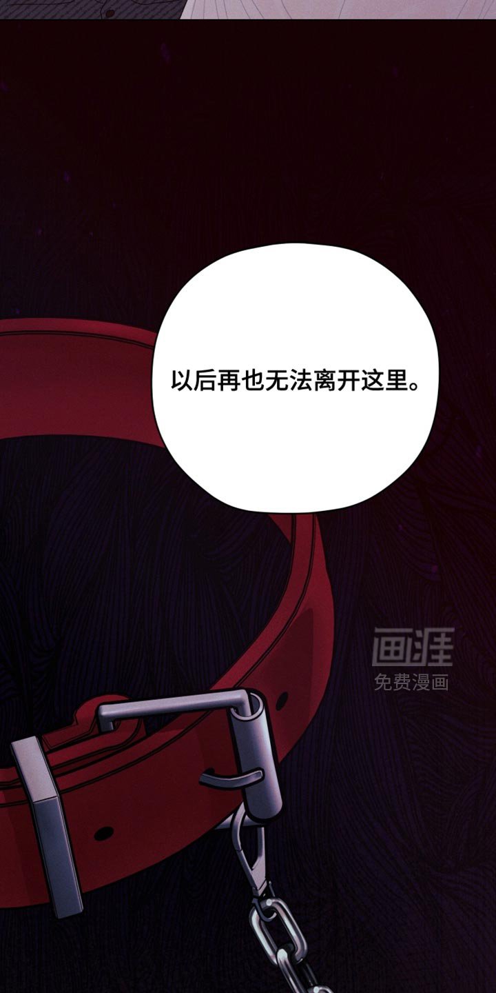 第73章：【第二季】我想听你说