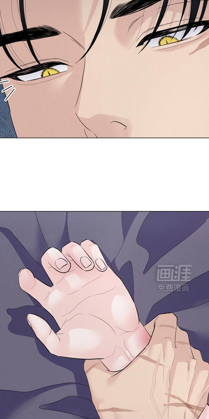 第85章：【番外】花样百出