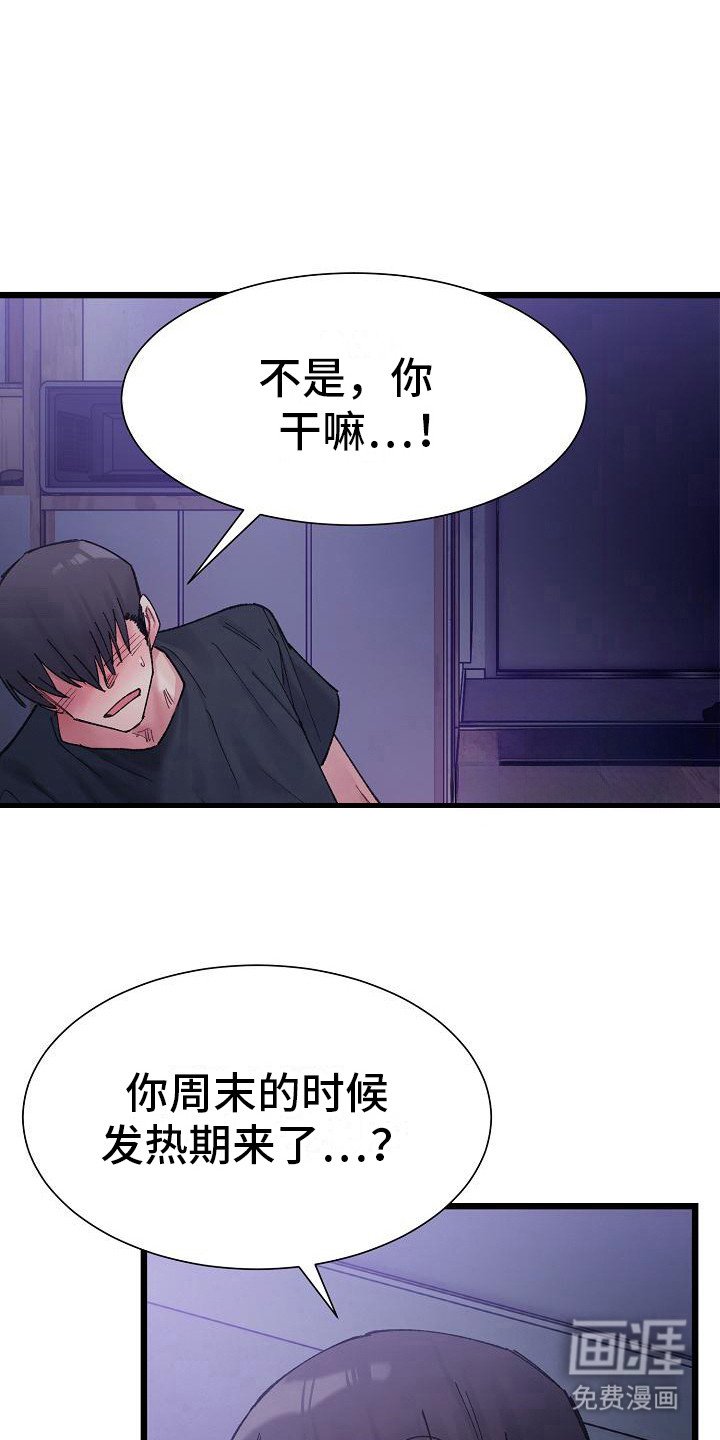 第17章：挑衅